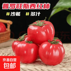 正宗普罗旺斯西红柿水果沙瓤番茄生吃新鲜蔬菜自然现摘大果成熟 普罗旺斯 4斤 新鲜现摘