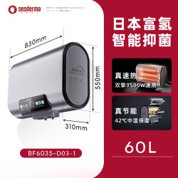 赛斯黛玛 40/50/60/80升L高端热水器一级能效双胆变频速热 60L 3500W 日本富氢+电子镁棒+智控+出水断电