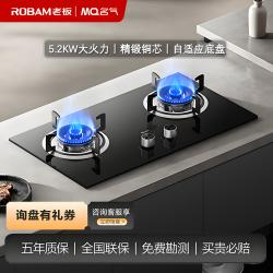 老板 名气A6010B大火力燃气灶厨房灶台灶具双眼灶台嵌两用