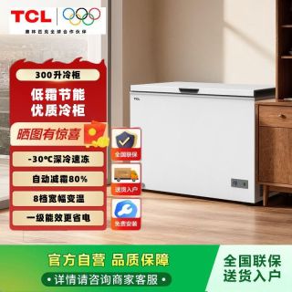 TCL 冰柜 300升速冻养鲜冷柜大冷冻力冷柜一级卧式家用冰柜冰箱