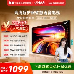 Vidda R系列 一级能效版 43VR1QD 液晶电视 43英寸 FHD