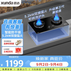 迅达 燃气灶天然气双灶具家用嵌入式台式两用5.2KW双旋火节能灶防干烧 D3-天然气