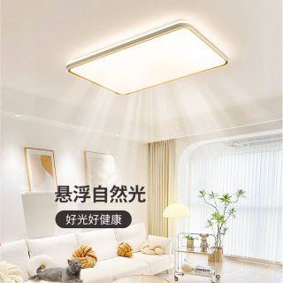 雷士 照明全光谱简约现代吸顶灯客厅灯卧室房间灯中山灯具全屋套餐