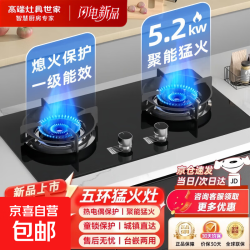 燃气灶双灶家用煤气灶猛火灶具双炉头天然气液化气台嵌两用熄火保护一级能效 五环猛火