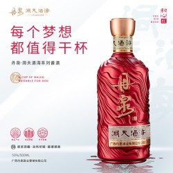 丹泉 53度丹泉洞天酒海初心酒洞藏酒 酱香型白酒礼盒装 100ml