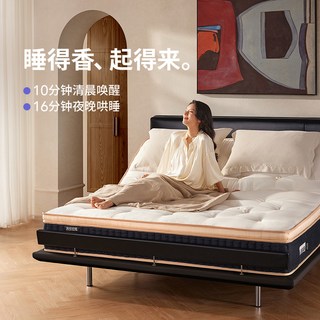 菠萝斑马 黑珍珠白珍珠Pro 智能床架