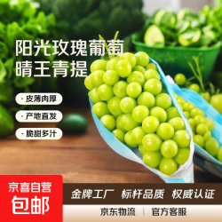 京喜加 现摘现发晴王阳光玫瑰自带花香高山果园应季青提水果生鲜 大果单果8g 带箱2斤（体验装）