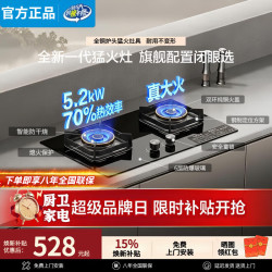 Micca 美的多采燃气灶天然气煤气灶液化气双灶猛火5.2kW直喷猛火灶70%热效率一级能效台式嵌入式灶台炉具