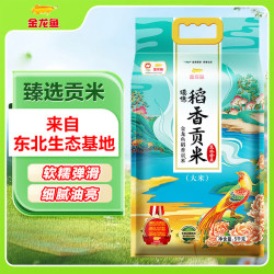 金龙鱼 臻选稻香贡米 东北大米 5kg*1袋