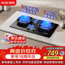 樱雪 燃气灶煤气灶 5.2kw猛火台嵌两用70%热效率烟灶联动双边定时煤气灶可适配开孔天然