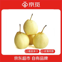 京觅 河北水晶鸭梨 净重4.5斤 单果200g+ 生鲜水果 源头直发