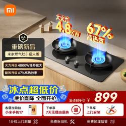 米家 液化气高热效4.8kW家用炉灶煤气灶双灶嵌入式可调节双眼燃气灶具灶台JZY-