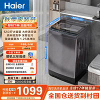 海尔 初色2.0系列 XQB120-BZ20D1 变频波轮洗衣机 12kg 星蕴银