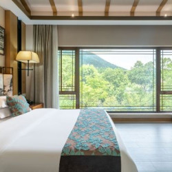 大阳山林泉里民宿（国家森林公园植物园景区店） 森之·景观大床房