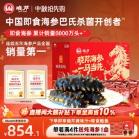 移动端、88VIP：晓芹 大连即食海参 1500g 辽刺参 开袋即食 1500g40-60只 简装
