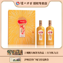 泸州老窖 醉美泸州古雅双禧浓香型白酒52度500ml*2