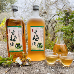 正宗青梅酒醇香纯粮食米酒浸泡小众高颜值女士微醺低度果香梅酒