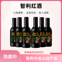 智利一级庄侍香艾玛微醺晚安进口小瓶红酒187ml*6