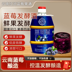 云南滇爷蓝莓果酒12度口感醇厚 每桶1升