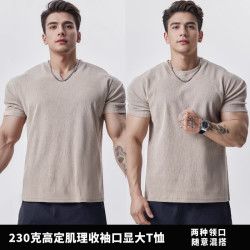 亚麻风运动短袖男夏季圆V领T恤大码肌肉美式篮球训练健身衣服狗