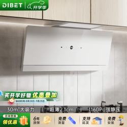 Dibet 迪钡特油烟机超薄侧吸烟机厨房F5D吸油烟机30m³爆炒排烟机