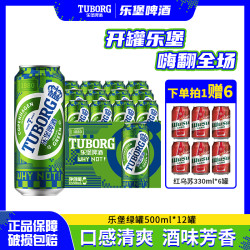 乐堡 经典拉格啤酒嘻哈潮酷音乐罐500ml*12罐 DR