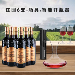 进口干红葡萄酒6支酒杯*2醒酒器*1电动开瓶器