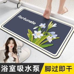 斯美儿 硅藻泥浴室地垫卫生间吸水垫淋浴间速干门垫厕所门口防滑垫