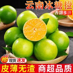 探味君 正宗云南青皮冰糖橙当季新鲜水果现摘薄皮果冻橙手剥甜橙整箱包邮