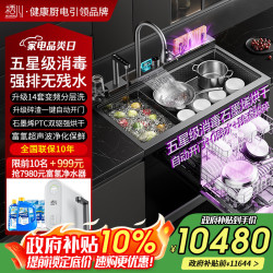栖川 日本栖川集成水槽洗碗机一体三合一果蔬嵌入式14套洗碗机单独烘干双层上下分层洗XC-09Pro