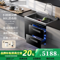 東洋 集成水槽洗碗机一体机纳米黑款双槽水槽全自动家用双槽厨房超声波清洗多功能消毒 （900