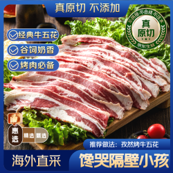 京东超市 海外直采 原切谷饲后胸牛肉片500g 烧烤片 露营拍档