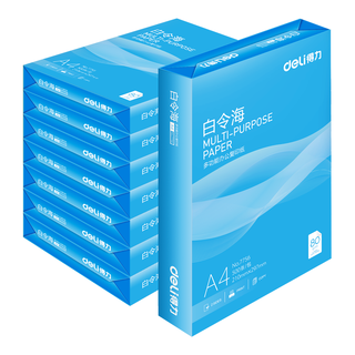deli 得力 白令海 7765 A4复印纸 80g 500张/包*8包