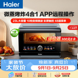 海尔 百味1.0 微蒸烤炸一体机家用台式蒸箱平板微波炉空气炸蒸烤箱 23L HW-CE23ZYAU1