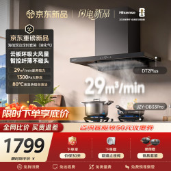 海信 烟灶套装29立方大吸力1300Pa家用抽排吸油烟机DT2Plus+4.8KW双边定时液化气燃气灶DB33Pro