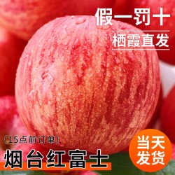 福瑞达 烟台红富士苹果10应当季斤新鲜水果整箱山东栖霞脆甜冰糖心丑平果