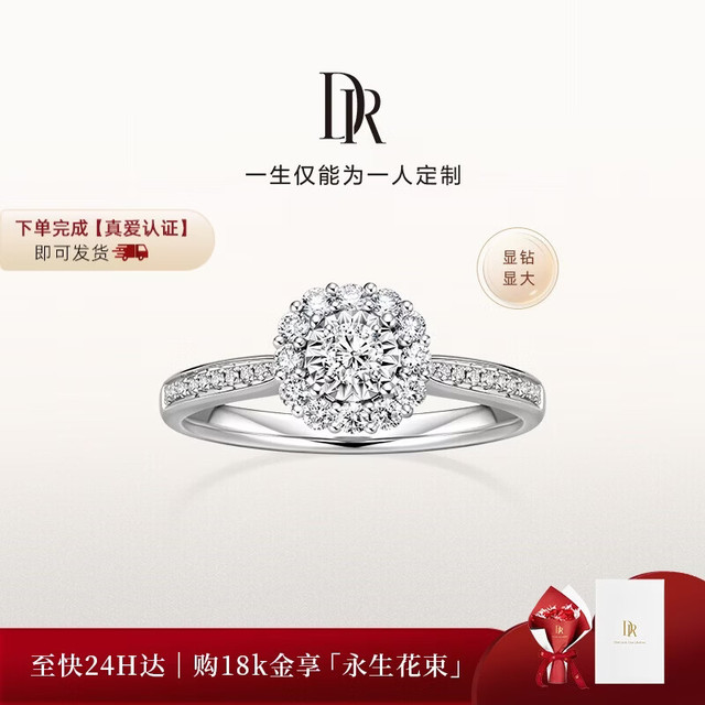 Darry Ring 【现货闪发】小方糖 求婚钻戒钻石18K金圆钻戒指BELIEVE系列13号