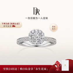 Darry Ring 【现货闪发】小方糖 求婚钻戒钻石18K金圆钻戒指BELIEVE系列13号