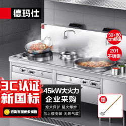 德玛仕 商用燃气大锅灶炒菜炉猛火灶大小炒