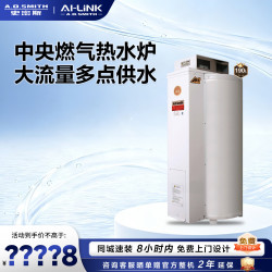 A.O.SMITH 燃气落地炉EMGO-50C  家用燃气中央热水器 热水 室外型