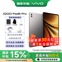 iQOO Pad6 Pro 第五代骁龙8至尊版 4K游戏电竞大屏 13000mAh长续航 vivo平板电脑 灰晶 8GB+256GB 官方标配