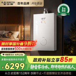 A.O.SMITH Q系列 16升零冷水燃气热水器玻璃面板 无回水管