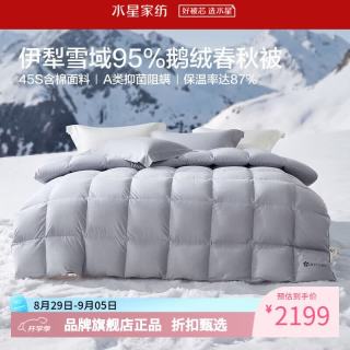 水星家纺 A类抑菌阻螨95%鹅绒冬被/春秋被/暖气被芯 防钻绒面料羽绒被子 寒域静暖抗菌鹅绒春秋被(时空银) 200cm×230cm