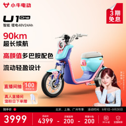 小牛电动 U1 one 电动自行车 48V24Ah锂电