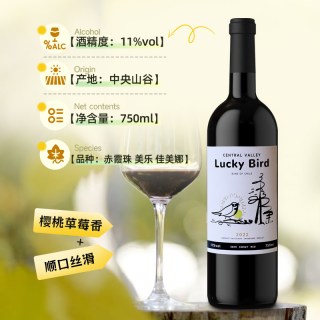 淘金币16.56元：赛尚名庄 嘉运鸟 智利 半甜红葡萄酒 750ml