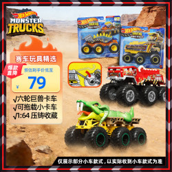 Hot Wheels ?随机一款）男孩玩具车模生日礼物-风火轮狂野大脚六轮系列HWN86