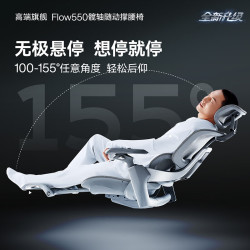 永艺 撑腰椅Flow550 人体工学电脑椅 全网电竞椅午休可躺办公椅 550全网无搁脚-黑-整椅