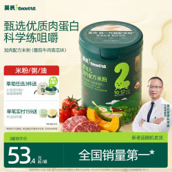 英氏 多乐能系列 加锌营养米粉 国产版 3阶 番茄牛肉味 258g