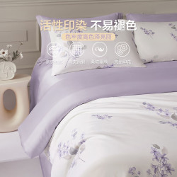 博洋 60支长绒棉印花被套 芳华（紫） 150*210cm
