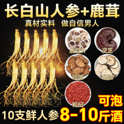 半山农 鲜人参10支+鹿茸+锁阳+枸杞+灵芝+玛咖泡酒材料 180克